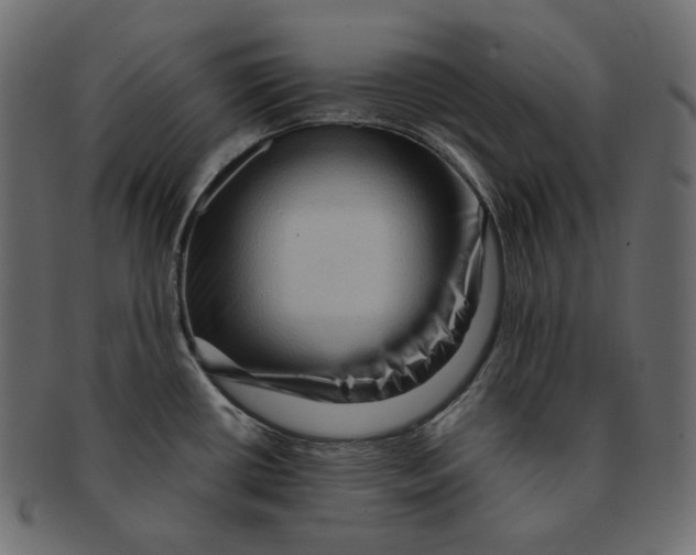 X0000091931434200710031050