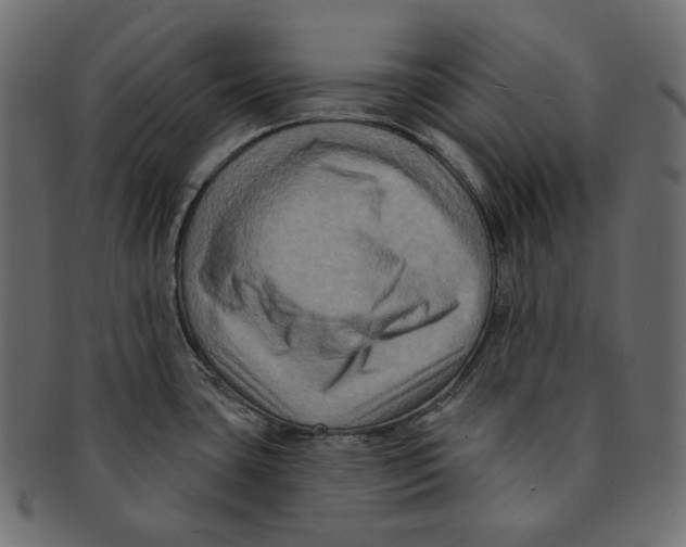 X0000091931435200710031050