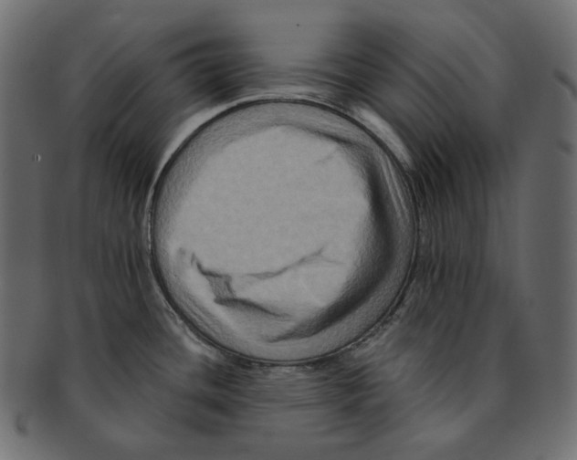 X0000091931436200710031050