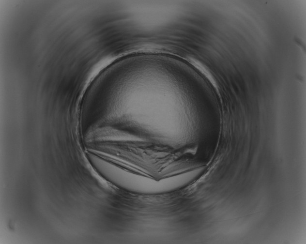 X0000091931437200710031050