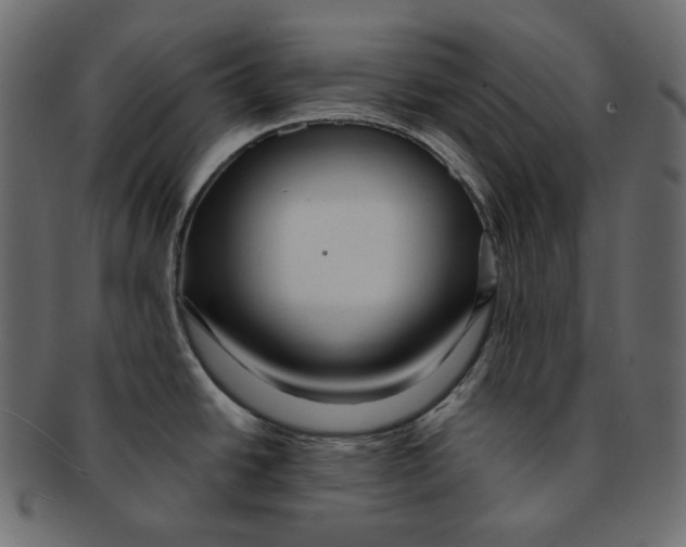 X0000091931438200710031050