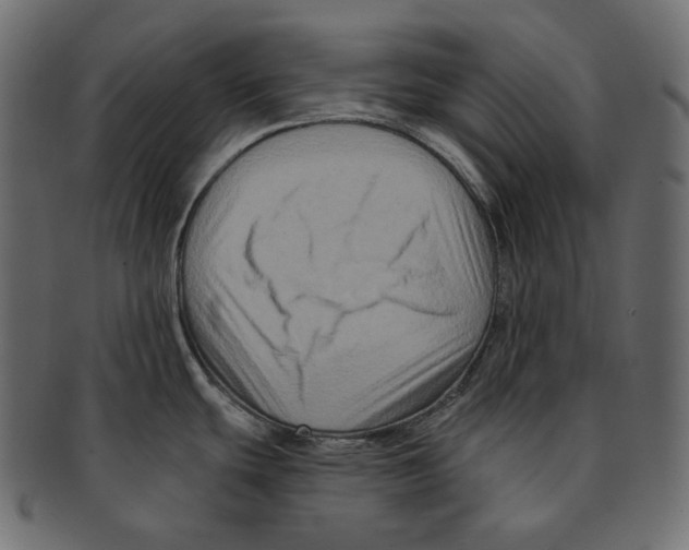 X0000091931439200710031050