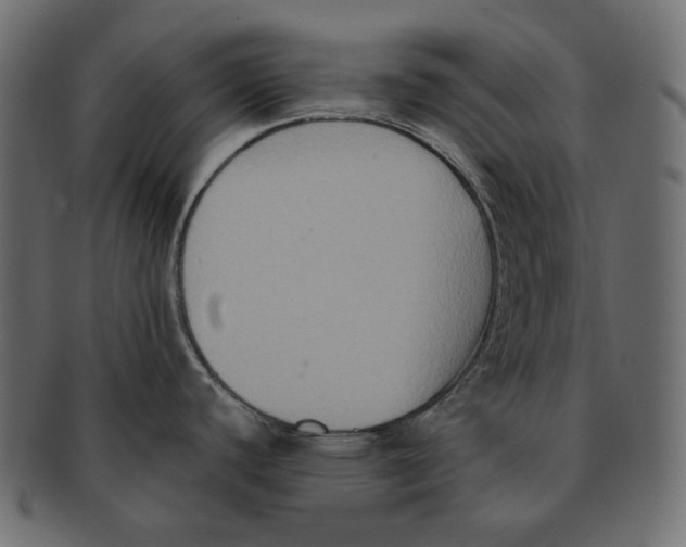 X0000091931440200710031050