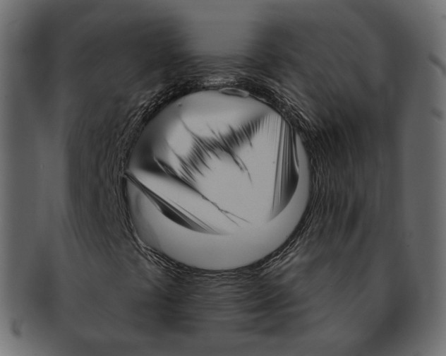 X0000091931441200710031050