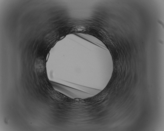 X0000091931442200710031050