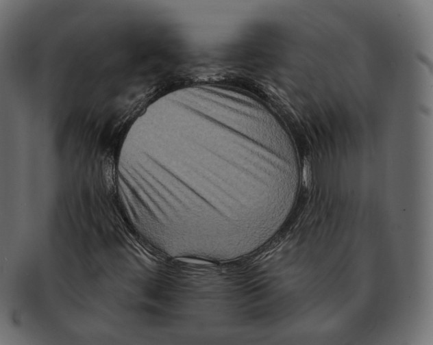 X0000091931444200710031050