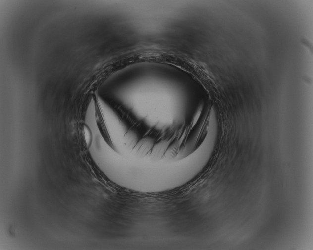 X0000091931445200710031050