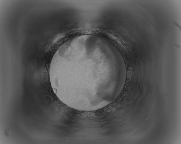 X0000091931446200710031050