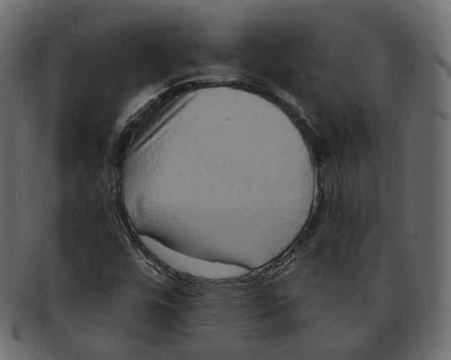 X0000091931448200710031050