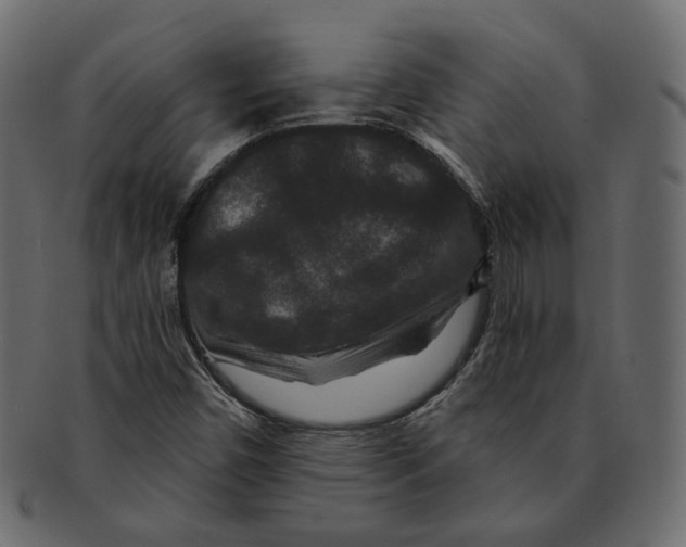 X0000091931450200710031050