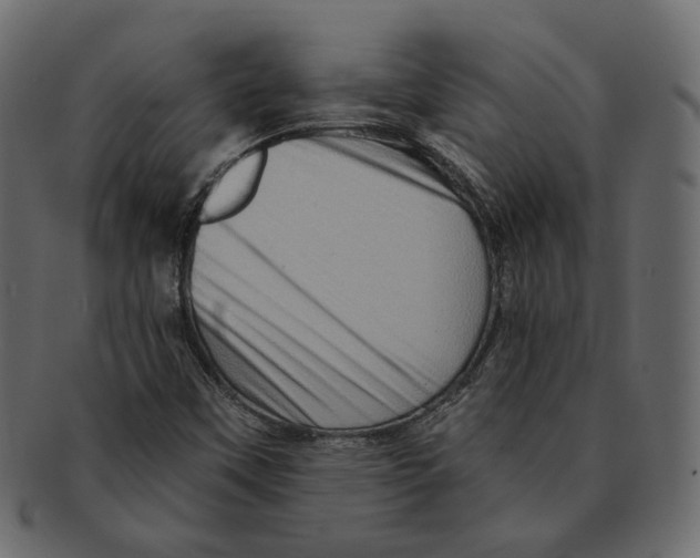 X0000091931451200710031050