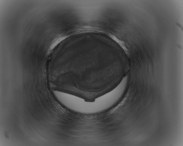 X0000091931453200710031050