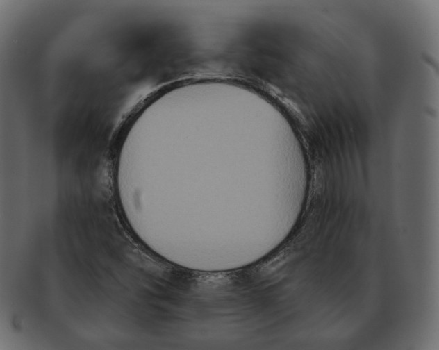 X0000091931454200710031050