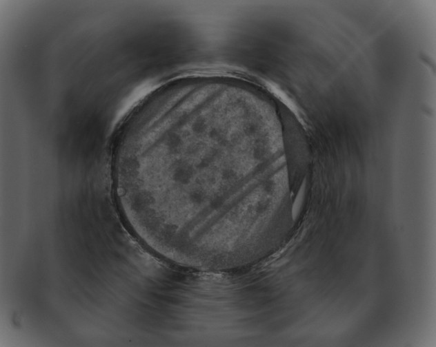 X0000091931456200710031050