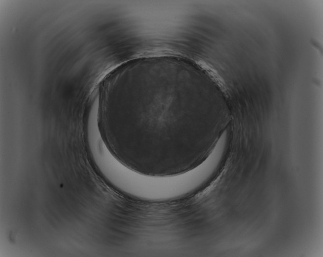 X0000091931457200710031050