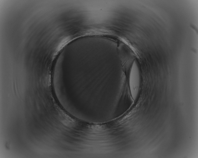 X0000091931459200710031050