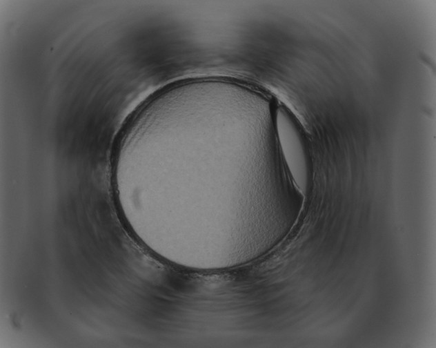 X0000091931460200710031050