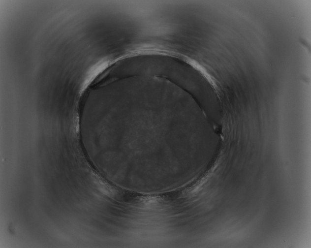 X0000091931461200710031049