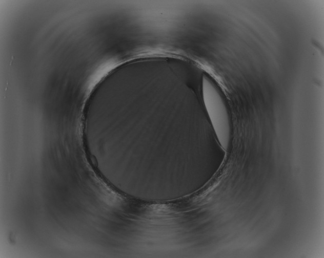 X0000091931463200710031049