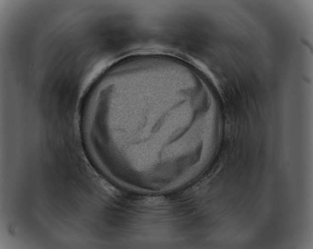 X0000091931464200710031049
