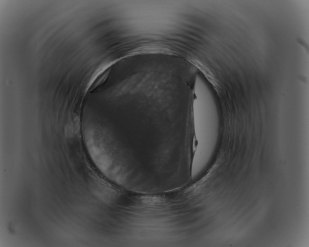 X0000091931465200710031049