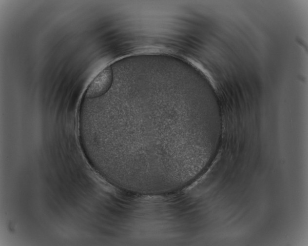 X0000091931467200710031049