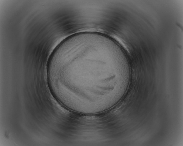 X0000091931468200710031049