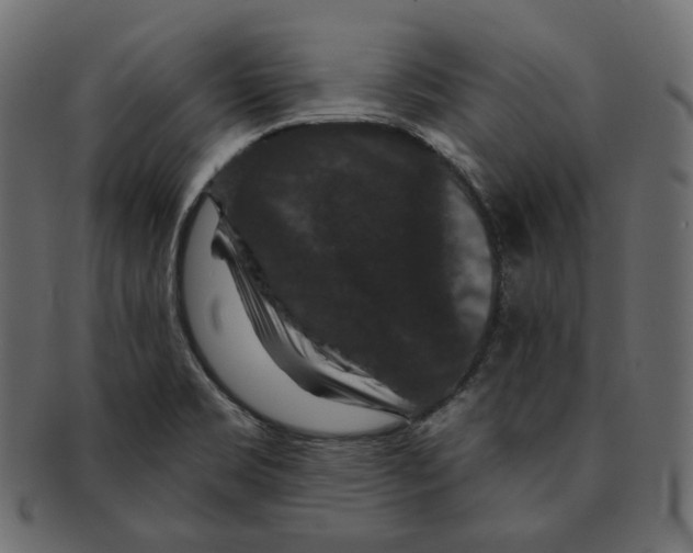 X0000091931469200710031049