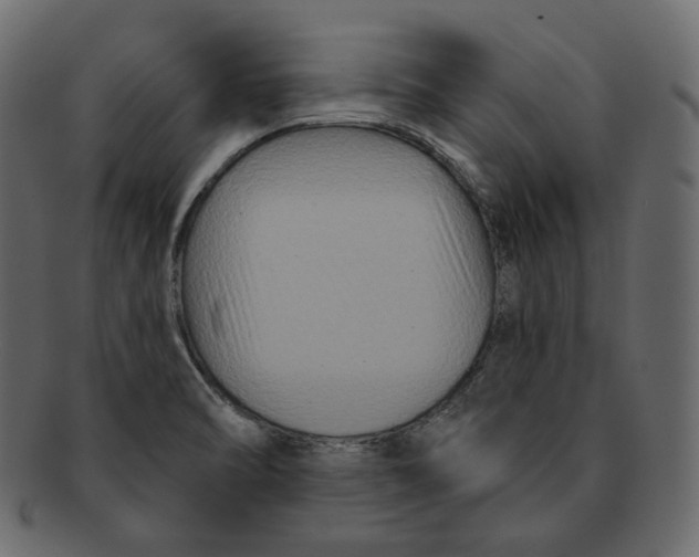 X0000091931470200710031049