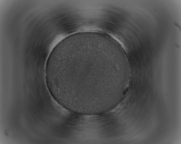 X0000091931471200710031049