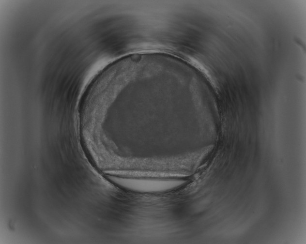 X0000091931472200710031049
