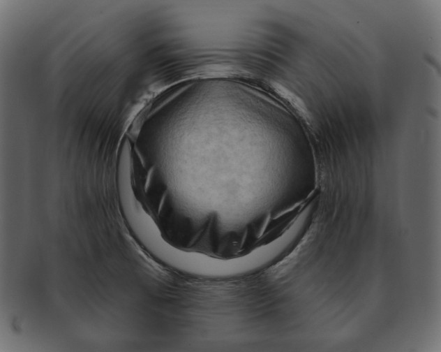 X0000091931473200710031049