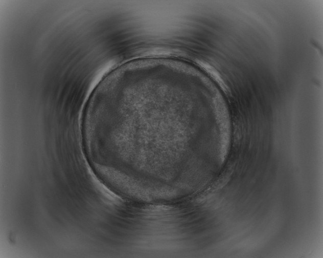 X0000091931475200710031049