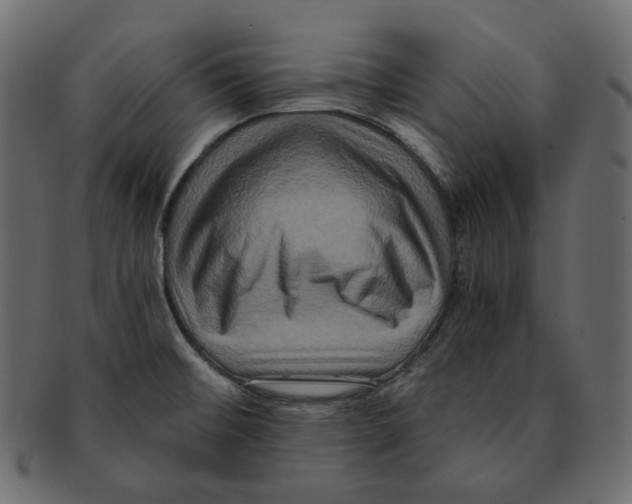 X0000091931476200710031049