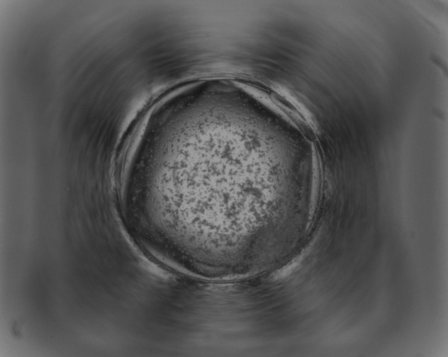X0000091931477200710031049