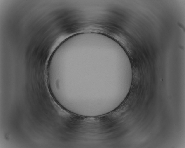 X0000091931478200710031049