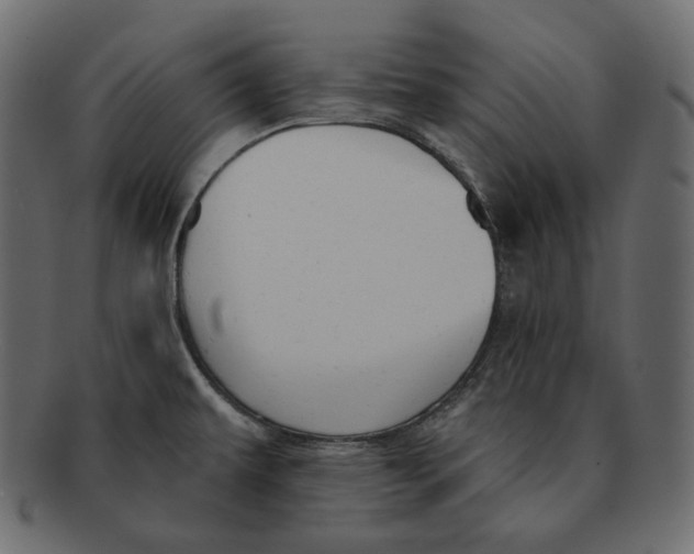 X0000091931479200710031049