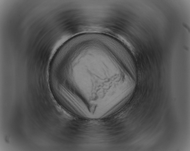X0000091931480200710031049