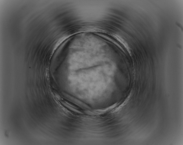 X0000091931481200710031049