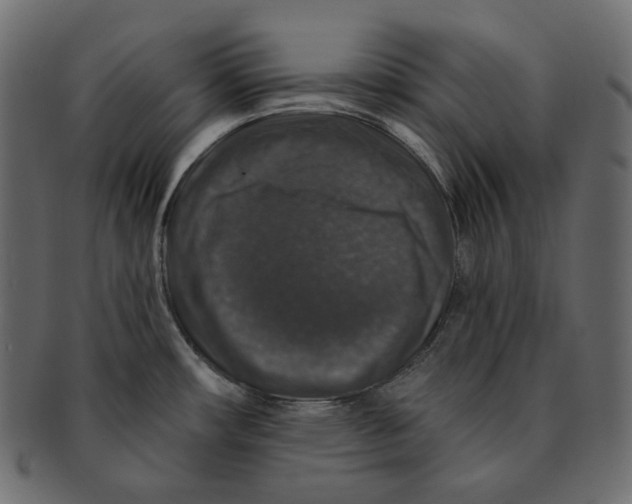 X0000091931482200710031049