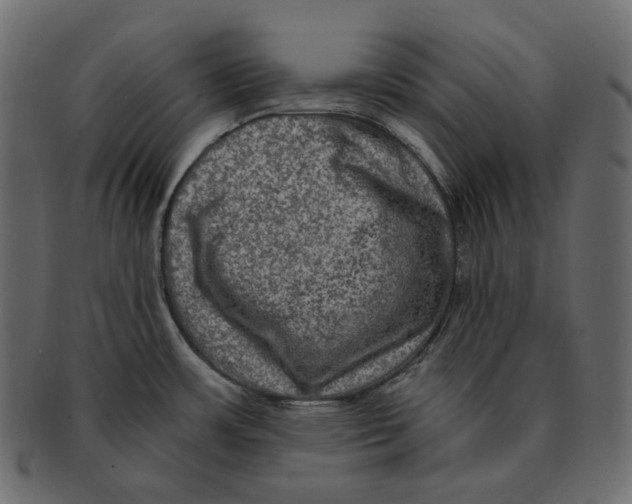 X0000091931483200710031049