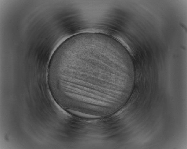 X0000091931484200710031049