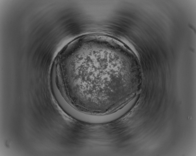 X0000091931485200710031049