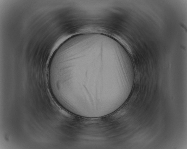 X0000091931486200710031049