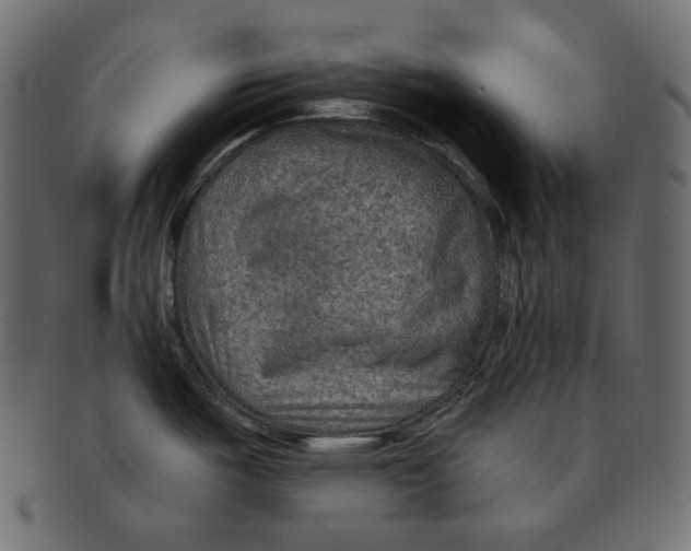 X0000091931487200710031049