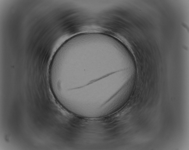 X0000091931488200710031049