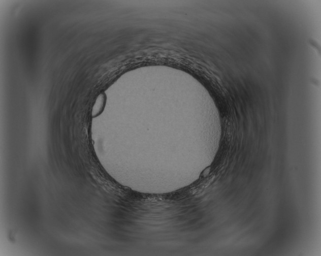 X0000091931489200710031049