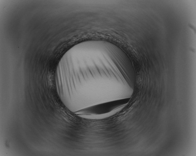 X0000091931490200710031049