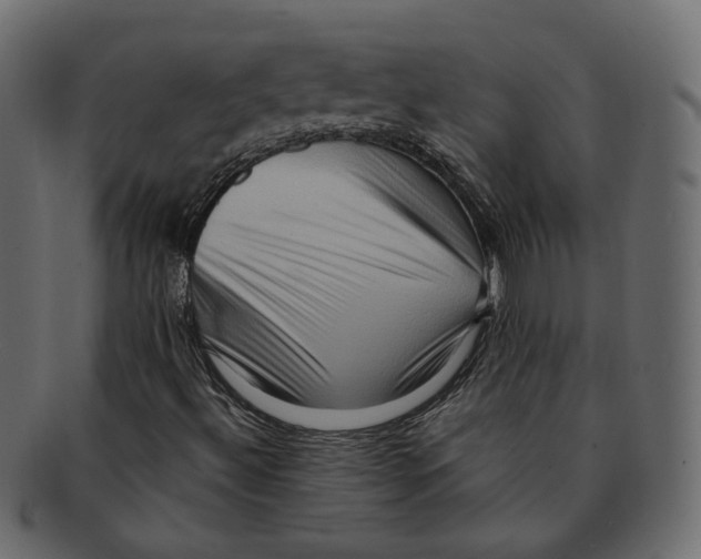 X0000091931492200710031049