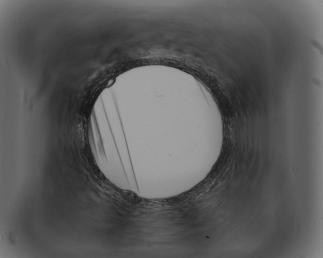 X0000091931493200710031049